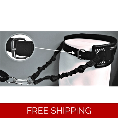 Mmdoggear Premium Dog Walking Belt Set